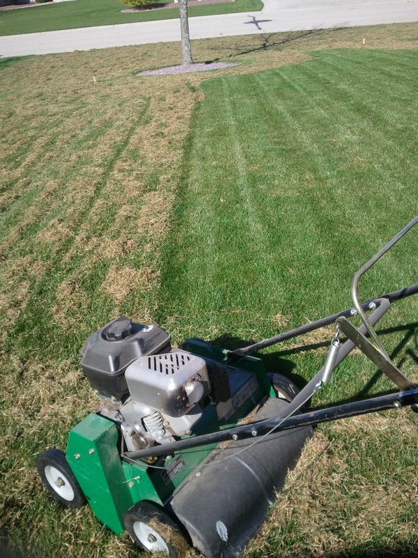 power raking and seeding